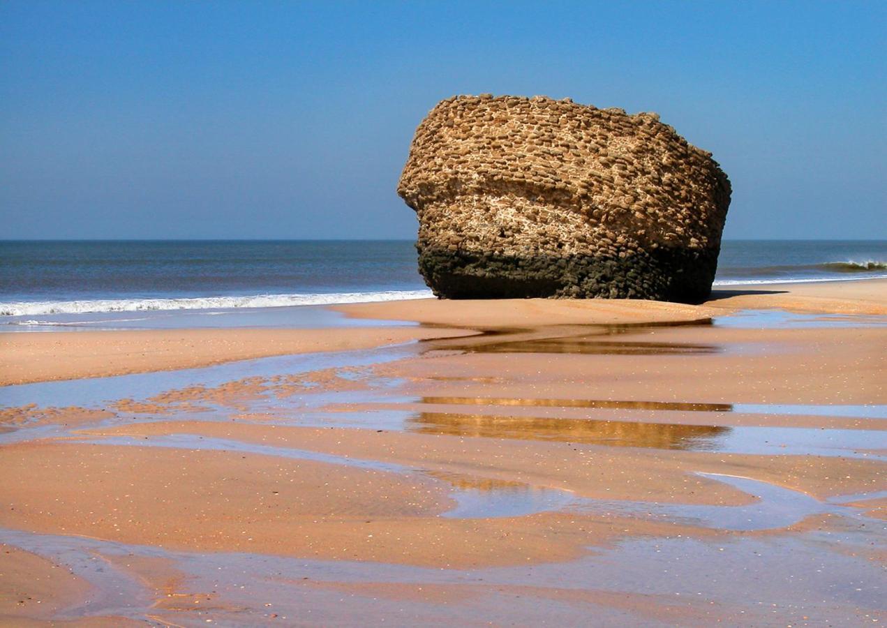 Estudio Primera Linea De Playa Matalascanas Ngoại thất bức ảnh